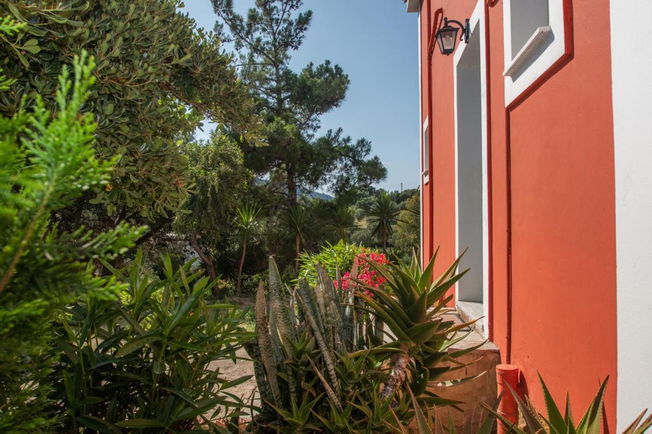 Arpyia Apartment Vasilikos  Luaran gambar